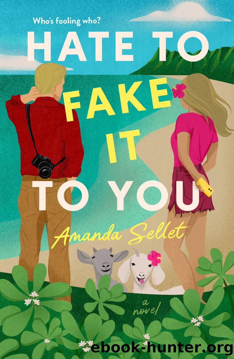 Hate to Fake It to You by Amanda Sellet