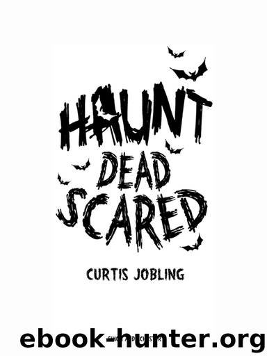 Haunt by Curtis Jobling