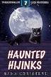 Haunted Hijinks by Christene Sara