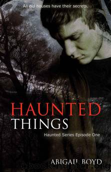 Haunted Things by Boyd Abigail