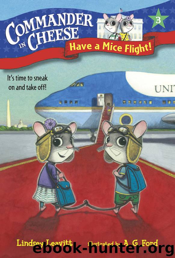 Have a Mice Flight! by Lindsey Leavitt