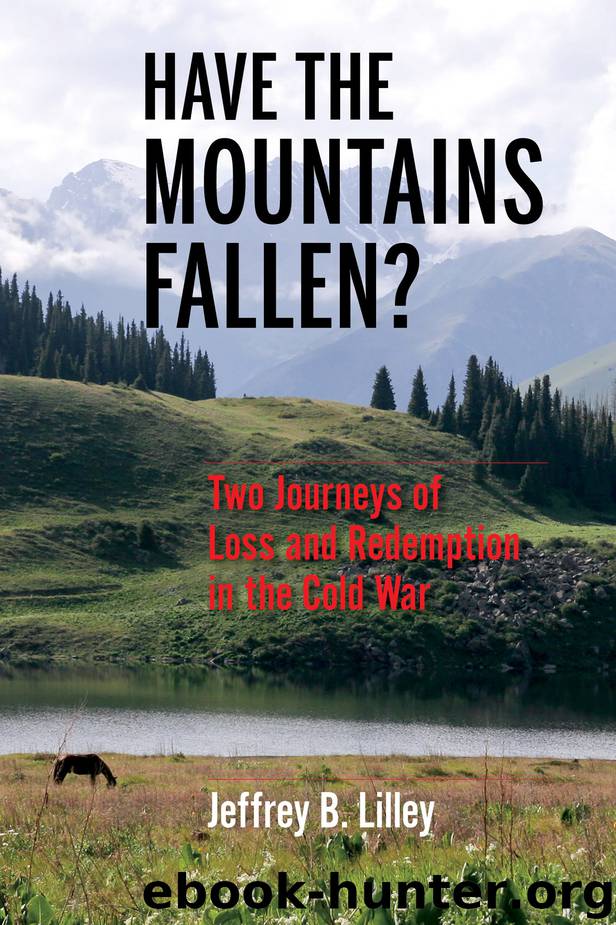 Have the Mountains Fallen? by Jeffrey Lilley