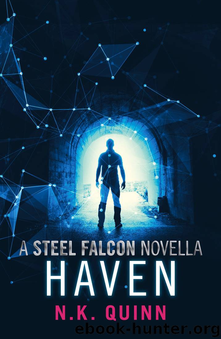 Haven - a Steel Falcon Novella by N.K. Quinn