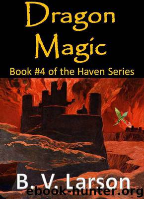 Haven 4 Dragon Magic (Haven Series 4) by Larson B. V