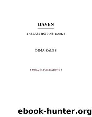 Haven by Dima Zales