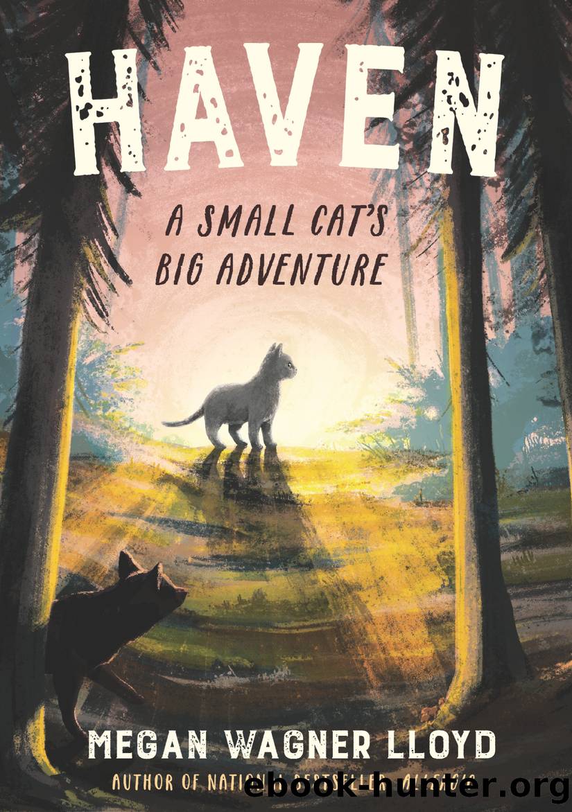 Haven by Megan Wagner Lloyd