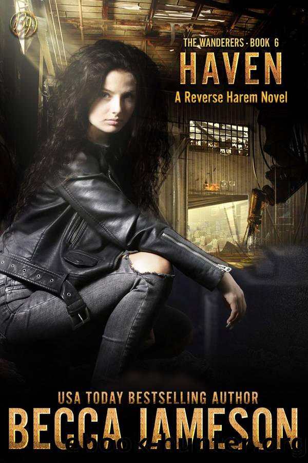 Haven: The Wanderers, Book Six by Becca Jameson