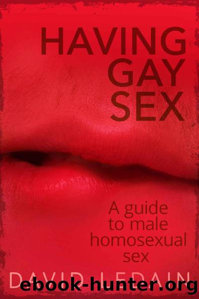 Having Gay Sex: A Guide to Male Homosexual Sex by David Ledain