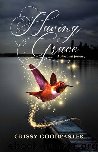 Having Grace by Crissy Goodpaster