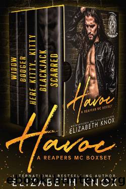 Havoc: A Reapers MC Boxset by Elizabeth Knox