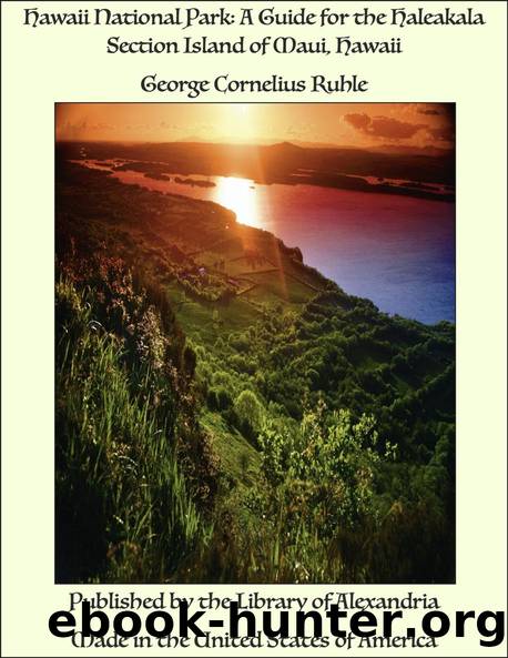 Hawaii National Park by George Cornelius Ruhle