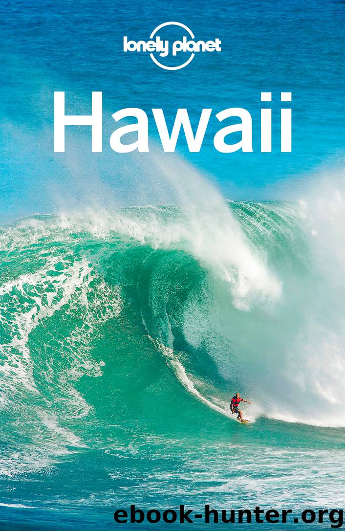 Hawaii Travel Guide by Lonely Planet
