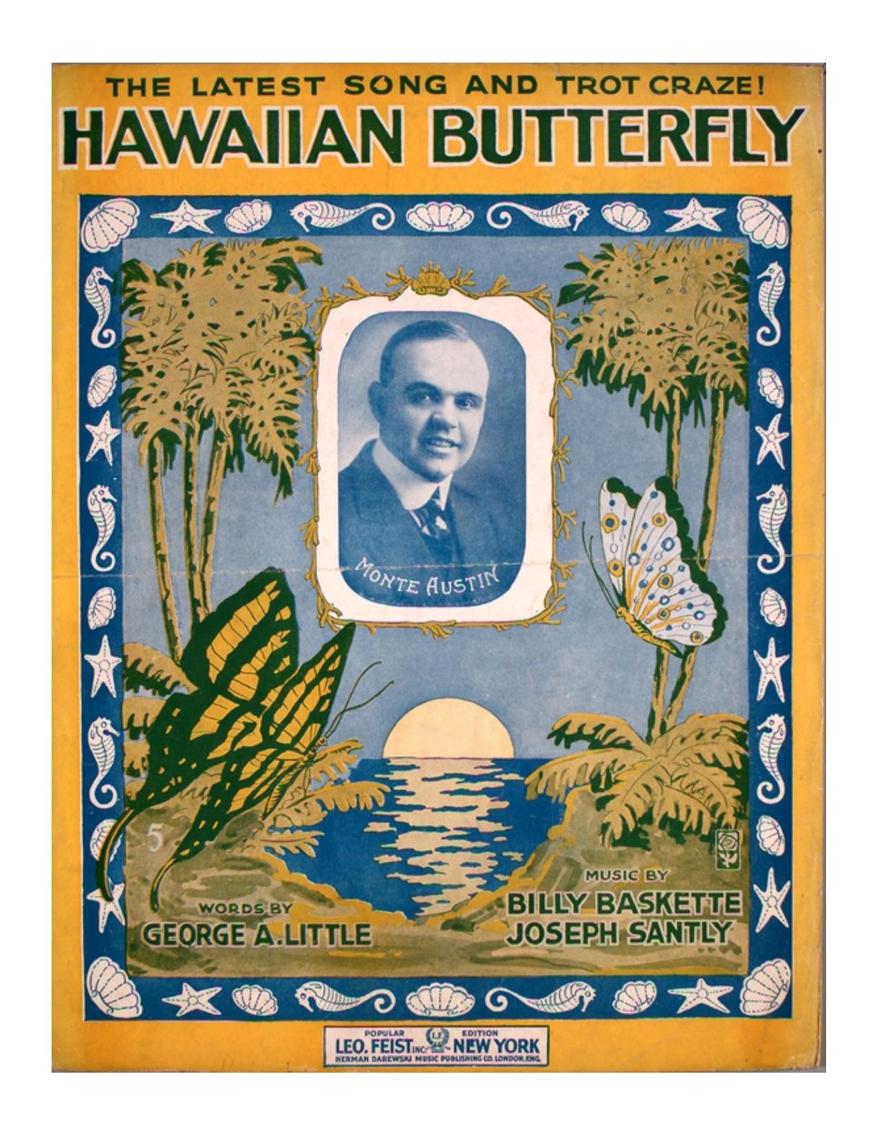 Hawaiian Butterfly by Unknown