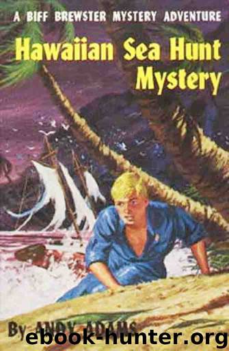 Hawaiian Sea Hunt Mystery by Andy Adams