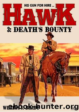 Hawk 03 by William S. Brady