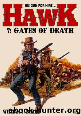 Hawk 07 by William S. Brady