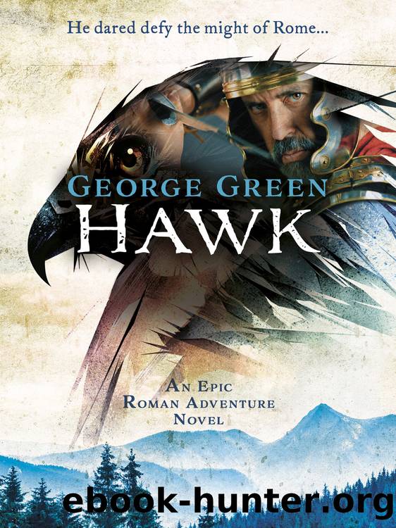 Hawk by George Green