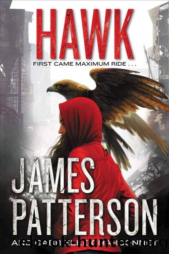 Hawk by James Patterson