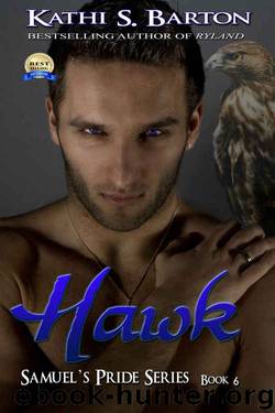 Hawk by Kathi S. Barton