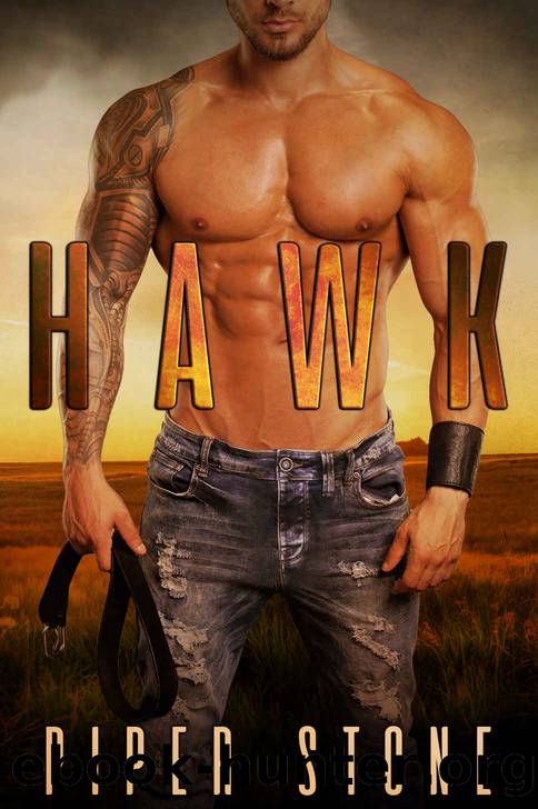 Hawk by Stone Piper