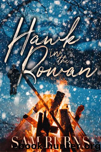 Hawk in the Rowan (The Rowan Harbor Cycle Book 4) by Sam Burns