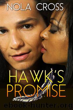Hawk's Promise by Nola Cross