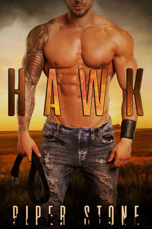 Hawk: A Rough Romance by Stone Piper
