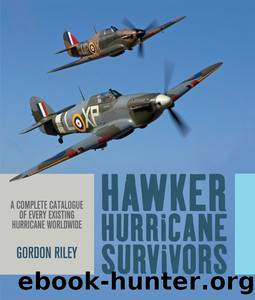 Hawker Hurricane Survivors by Gordon Riley