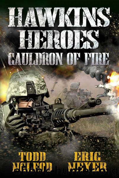 Hawkins 3 Cauldron of Fire by Eric Meyer