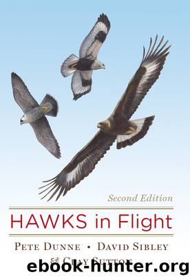 Hawks In Flight by Pete Dunne