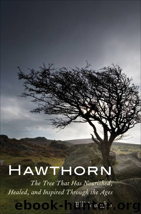 Hawthorn by Bill Vaughn