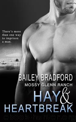 Hay and Heartbreak by Bailey Bradford