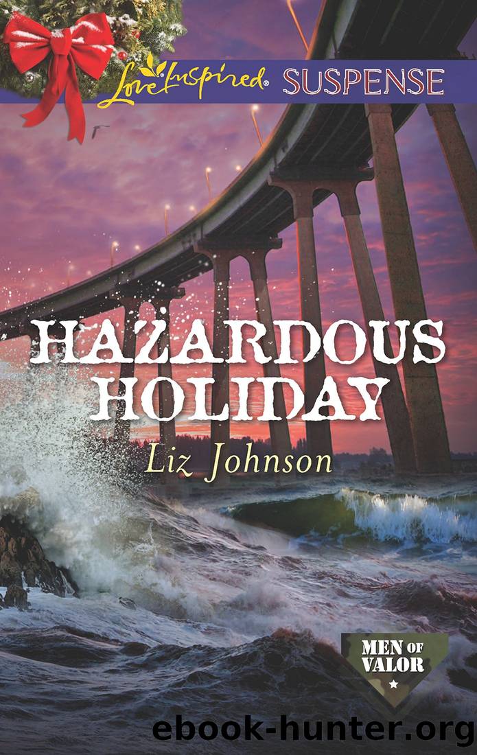 Hazardous Holiday by Liz Johnson