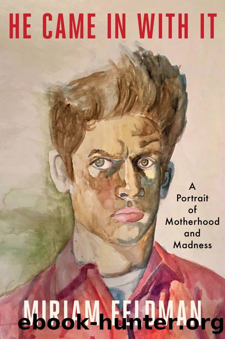He Came in With It: A Portrait of Motherhood and Madness by Miriam Feldman