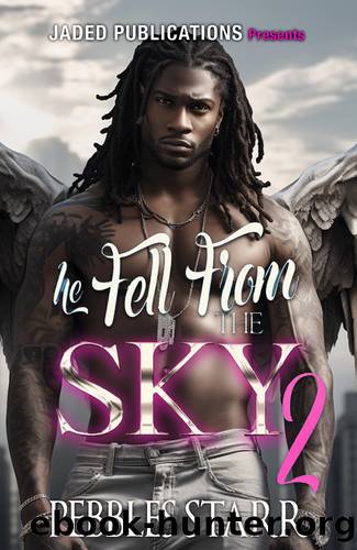 He Fell From The Sky 2: The Finale by Starr Pebbles