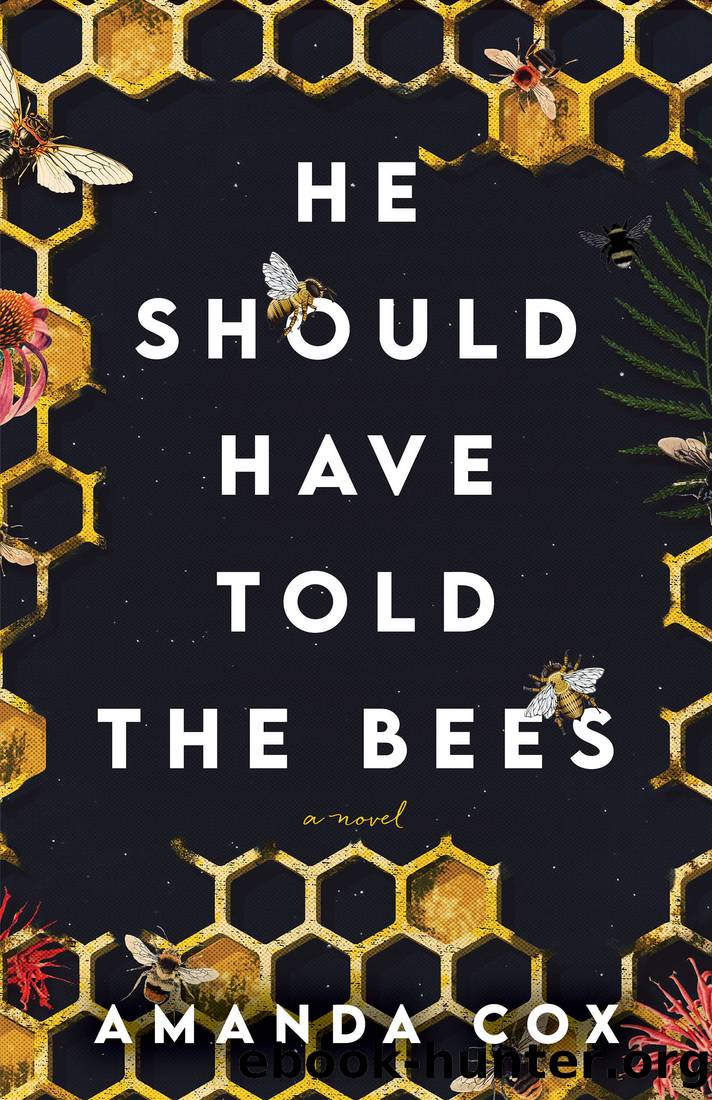 He Should Have Told the Bees by Amanda Cox