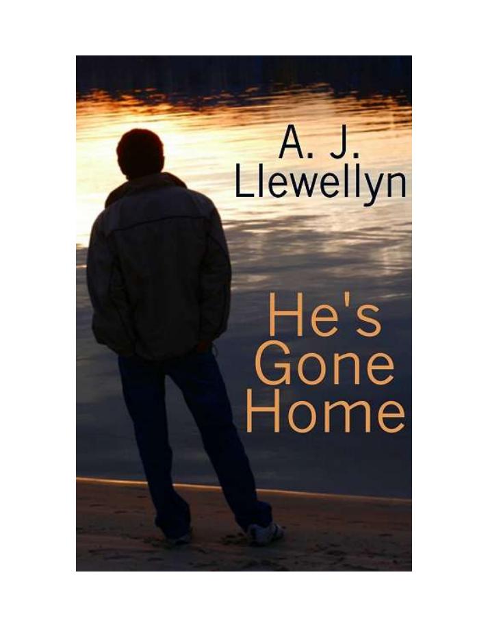 He's Gone Home by A. J. Llewellyn