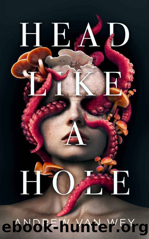 Head Like a Hole: a novel of horror by Van Wey Andrew
