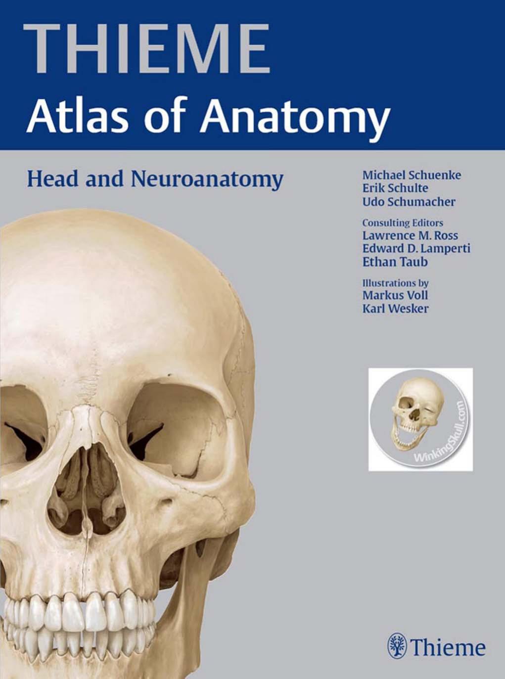 Head and Neuroanatomy (THIEME Atlas of Anatomy) by Michael Schuenke