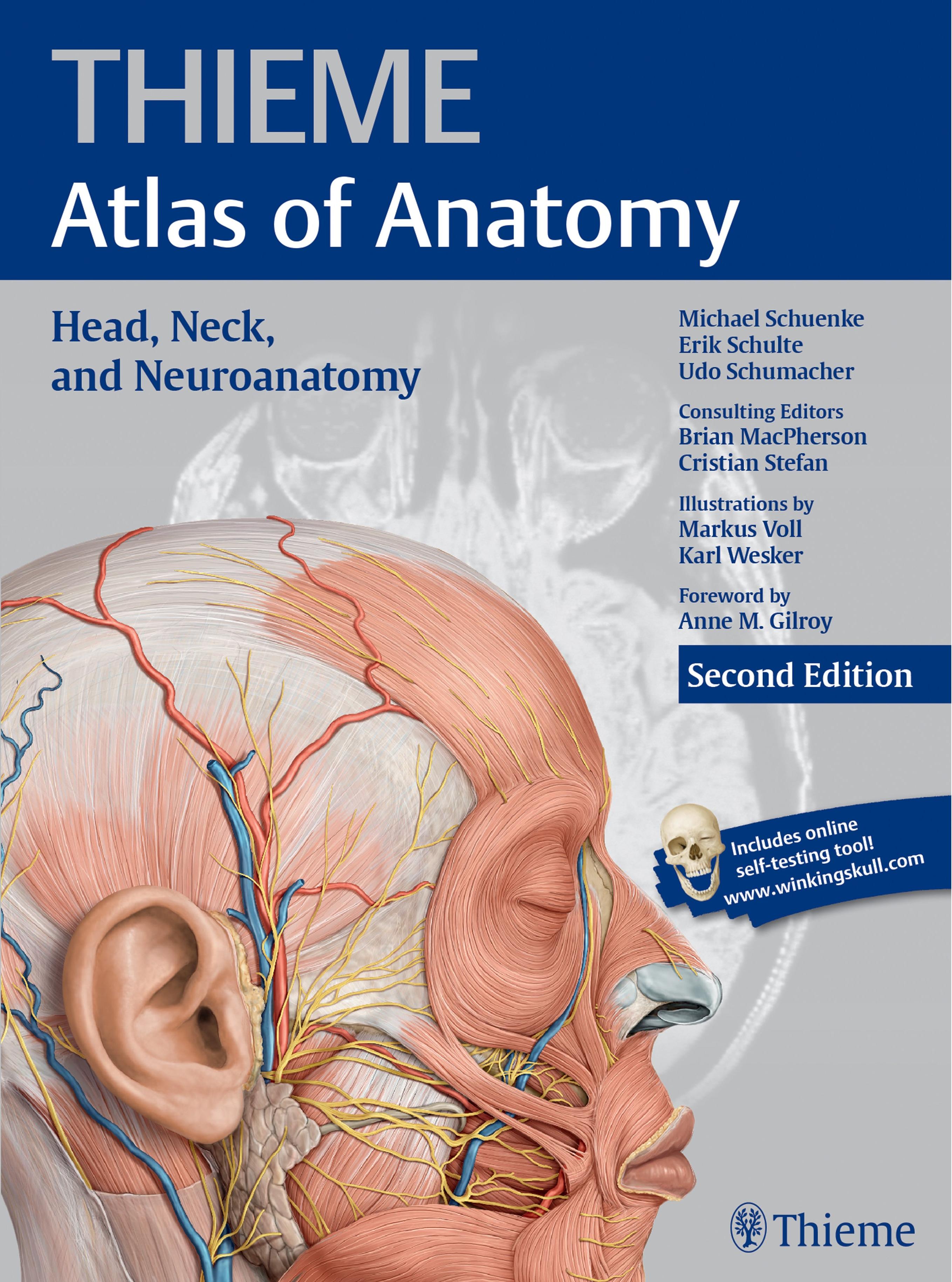 Head, Neck, and Neuroanatomy THIEME Atlas of Anatomy 2nd by Head Neck & Neuroanatomy 2E