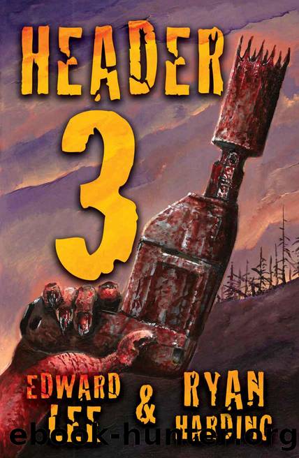 Header 3 by Lee Edward & Harding Ryan