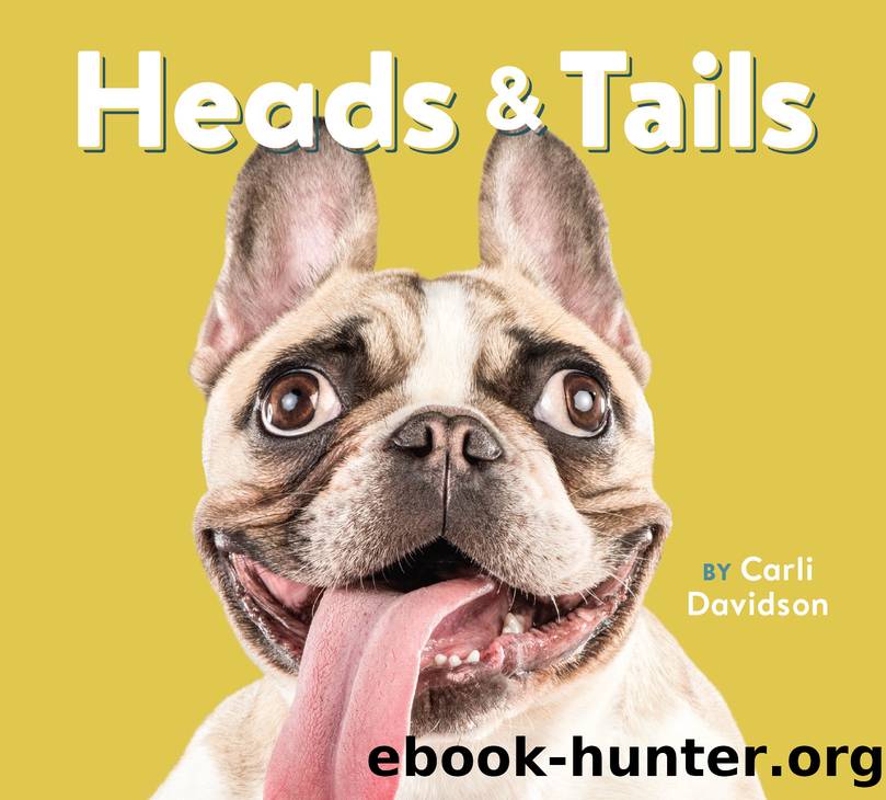 Heads & Tails by Carli Davidson