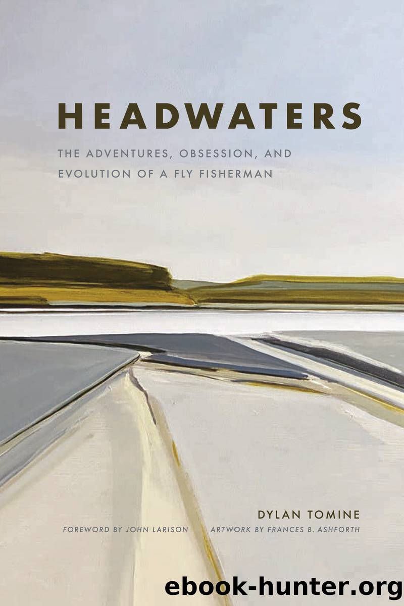 Headwaters by Dylan Tomine