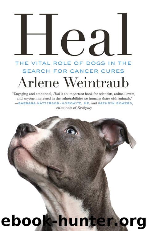 Heal by Arlene Weintraub