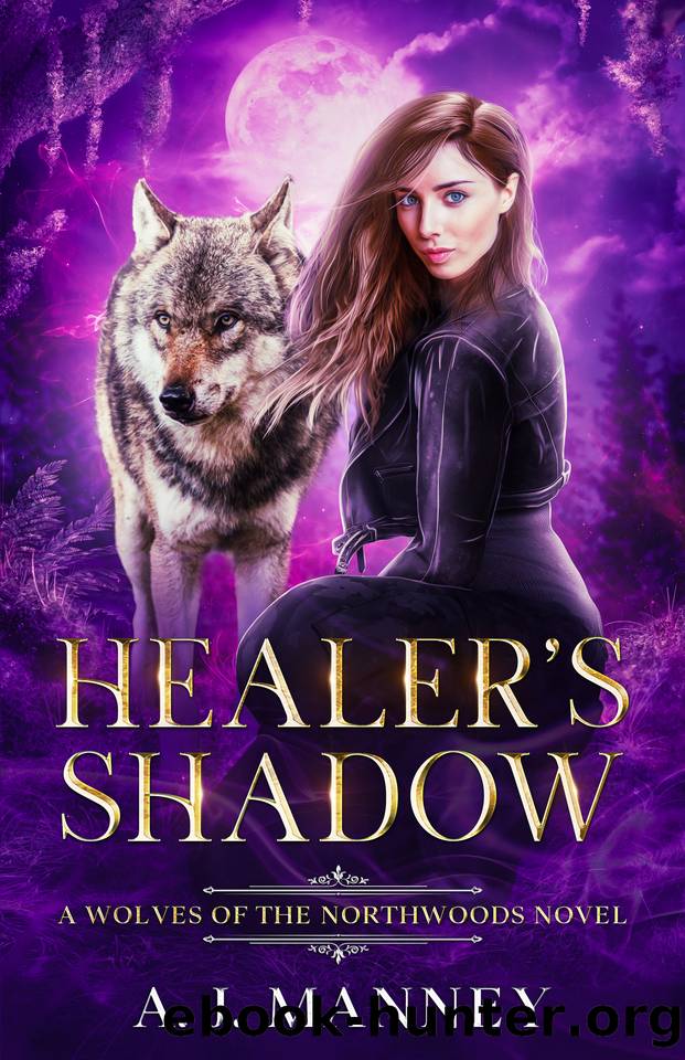 Healer's Shadow: A Wolves of the Northwoods Novel (The Healer's Series Book 1) by A. J. Manney