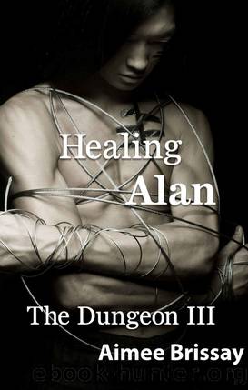 Healing Alan by Aimee Brissay