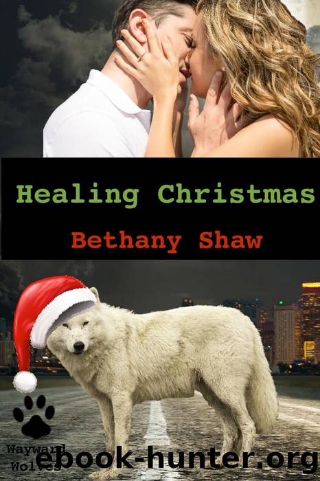 Healing Christmas by Bethany Shaw