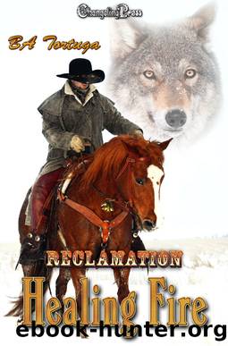 Healing Fire by B. A. Tortuga