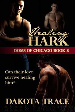Healing Hark (Doms of Chicago) by Trace Dakota