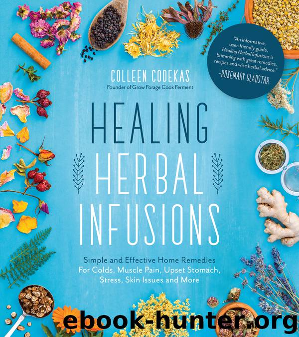 Healing Herbal Infusions by Colleen Codekas